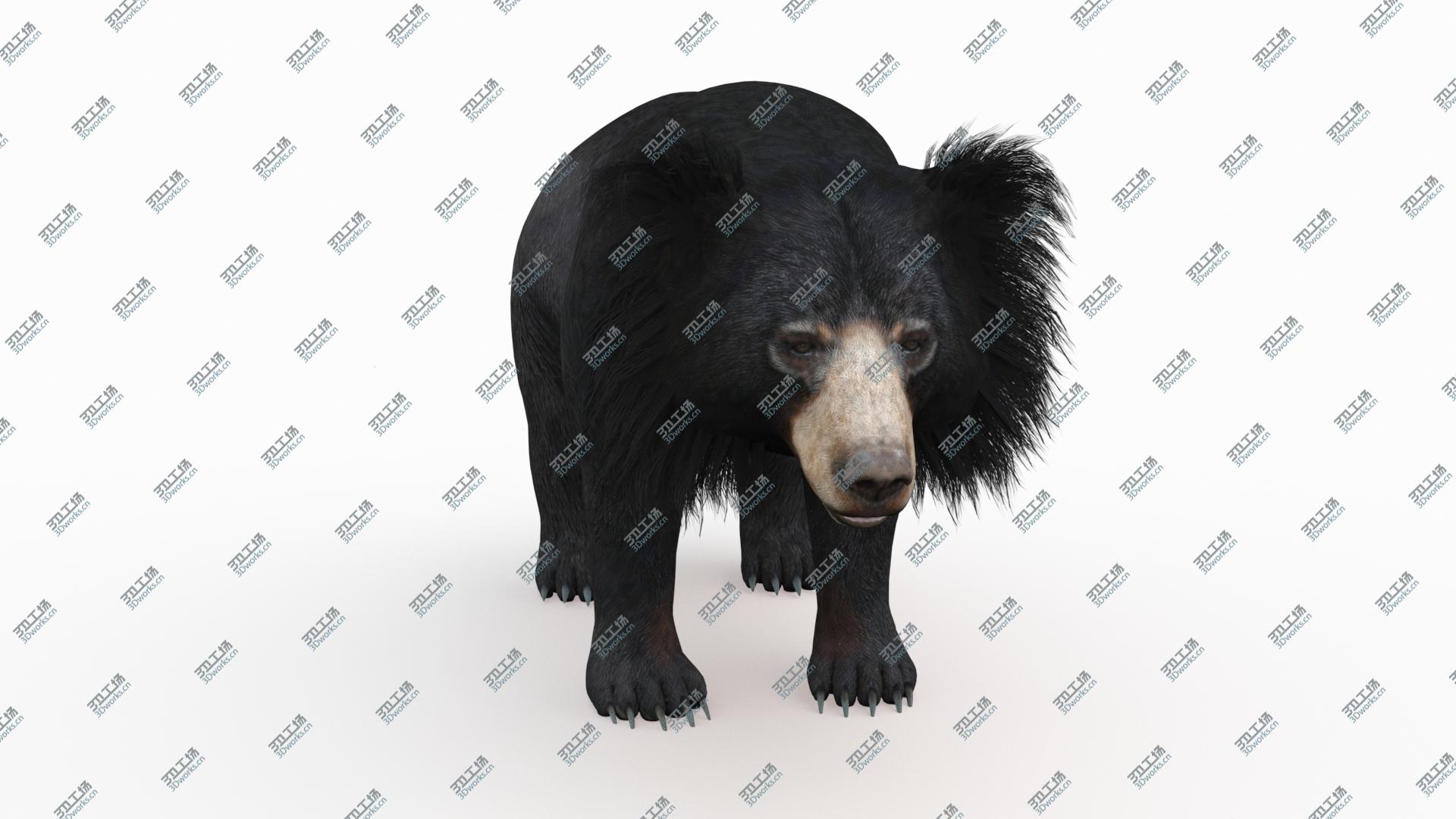 images/goods_img/2021040163/Sloth Bear 3D model/2.jpg